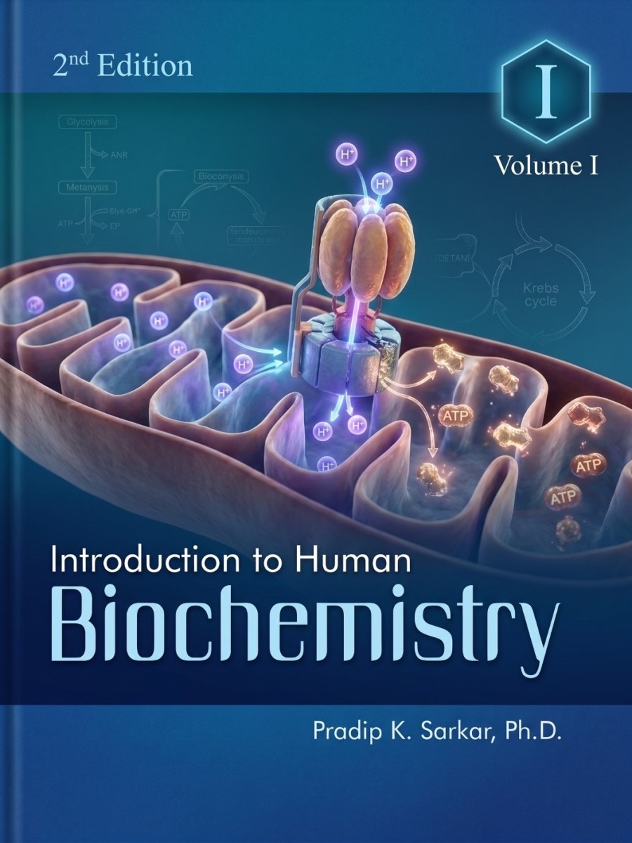 Introduction To Human Biochemistry I - 2nd Edition