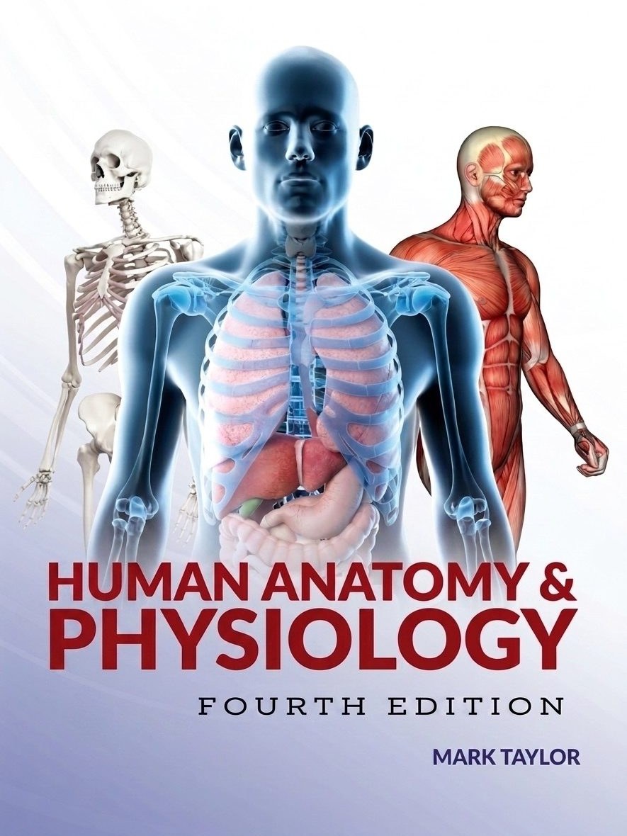 Human Anatomy & Physiology - 4th Edition